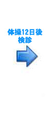 体操12日後検診